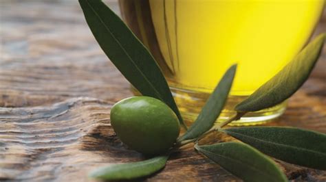 Olive oil processing | Alfa Laval