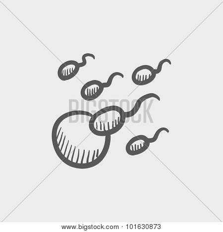 Image result for Copulation Outline