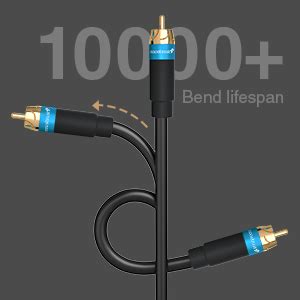 Buy BlueRigger Audio RCA Cable with Gold Plated connectors (1 RCA ...