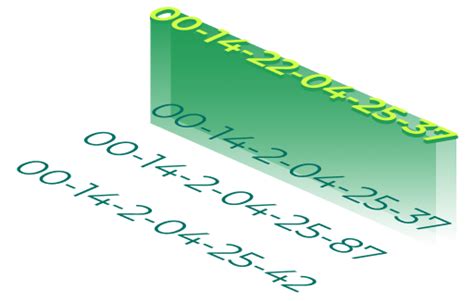 Image result for Mac Address Example