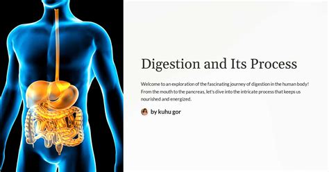 Digestion Process 的图像结果