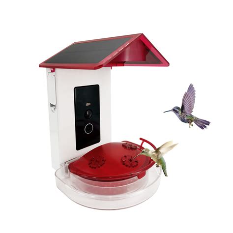 Bird Lover smart humming bird feeder AI recognition with wifi camera ...