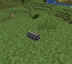 Image result for Minecraft Pilbug