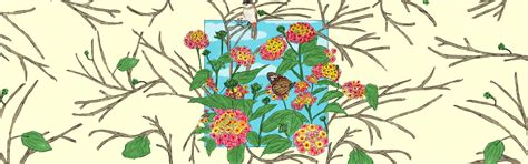 Listen to Story Of Lantana in the podcast series “Story Of…” on Radio ...