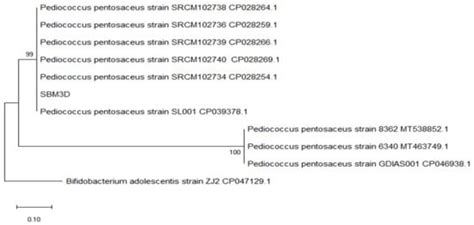 Identification and Genetic Diversity of Amylase Producing Lactic Acid ...