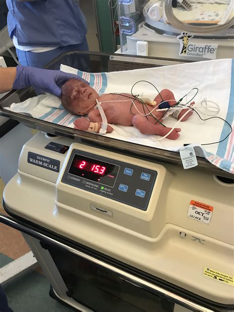 110 best u/michaelwrigley images on Pholder | Tools, Monitor Lizards ...