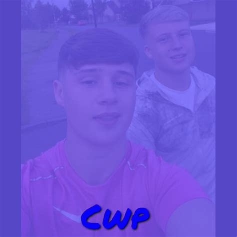 Image result for CWC Song Mix