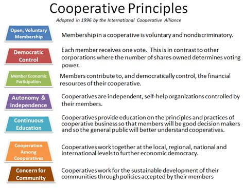 Co-operative Principles and Values 的图像结果