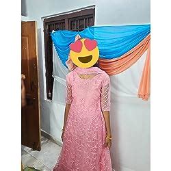 Bollyclues Women's Mono Net Embroidered Pink Semi Stitch Gown(BC-Chain ...