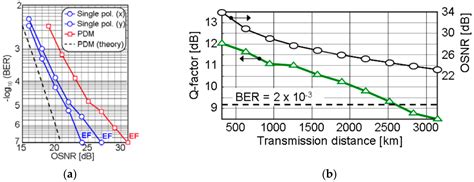 Advanced DSP for Coherent Optical Fiber Communication