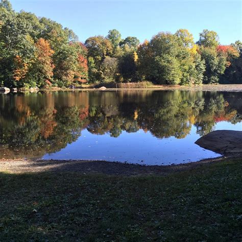 CONNECTICUT COLLEGE ARBORETUM (2026) All You Need to Know BEFORE You Go ...