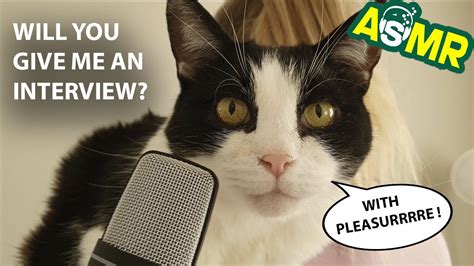 Image result for Purring Discord Server