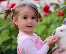 Image result for Ways Rabbit Care
