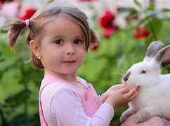 Image result for Rabbit Care Free Image
