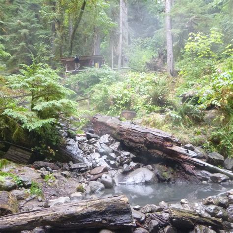 TERWILLIGER HOT SPRINGS - All You Need to Know BEFORE You Go 2026 (with ...