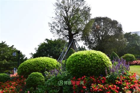 广西南宁南湖公园名树博览园,景观园林,建筑摄影,摄影,汇图网www.huitu.com