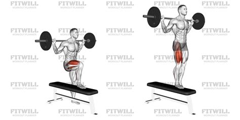 Image result for Lateral Step Up Exercise