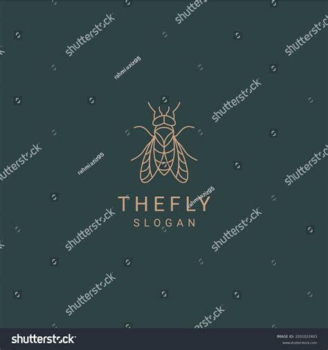 Image result for Fly Back Logo