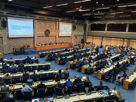 UN plastics treaty should move toward more sustainable materials ...