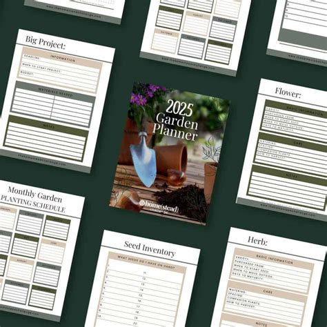 Growing Herbs in Raised Beds: A Simple Guide for Gardeners - The ...