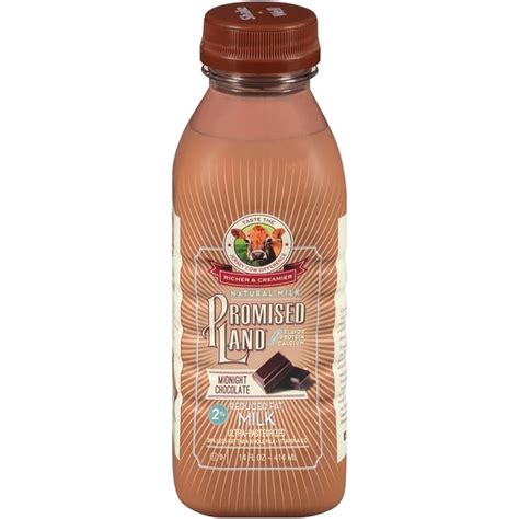 PROMISED LAND DAIRY Midnight Chocolate Whole Milk (14 fl oz) Delivery ...