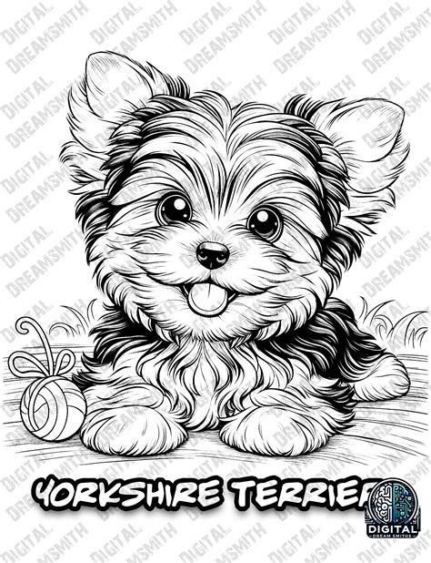 Yorkie Coloring Pages To Print Yorkshire Terrier Coloring Pages To