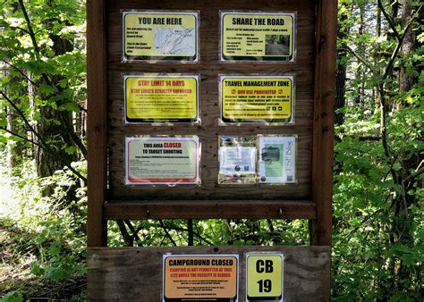 Gales Creek Campground Camping | The Dyrt