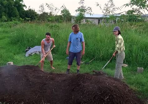 Image result for How to Compost Fast