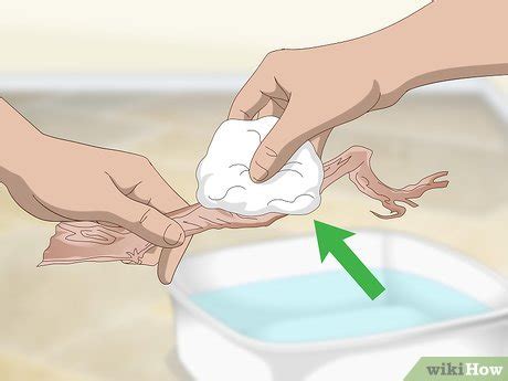 Image result for How to Clean Cuttlebug