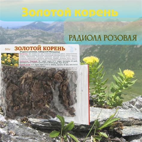 Золотой корень, корни Горного Алтая 50г. купить на OZON по низкой цене ...