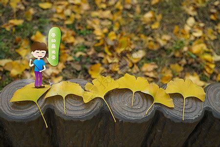 秋天就带孩子捡落叶吧，学学这些有趣的创意