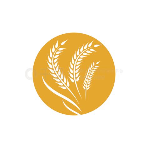 Image result for parseJSON Icon