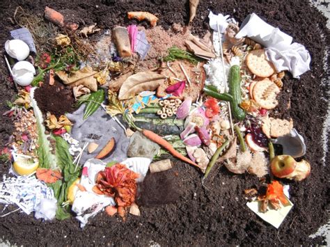 Image result for Composting Materials