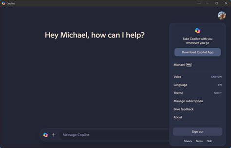 How Does Co-Pilot Work 的图像结果