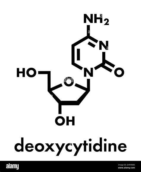 Deoxycytidine (dC) nucleoside molecule. DNA building block. Skeletal ...