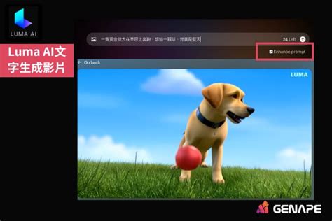 Luma Generate Video Process 的图像结果