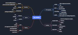 Different Hobbies for Kids Mind Map 的图像结果
