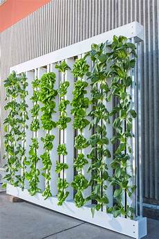 Vertical Garden by How To Create A Vertical Garden Inside Your Home Vertical Garden