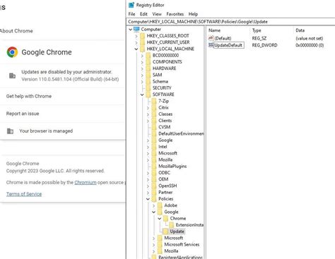 Computer Hkey Local Machine Software Policies Google Chrome 的图像结果
