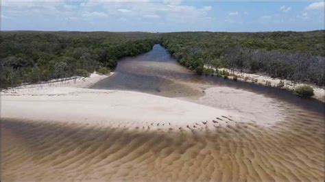 Hunting Catch Clean and Cook 的图像结果