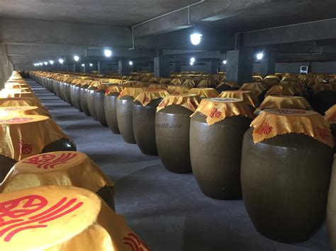 葡萄酒生产线-安徽祥派机械制造有限公司