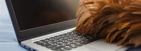 Clean Up PC to Run Faster 的图像结果