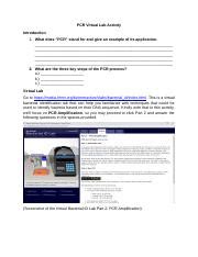 PCR Virtual Lab 的图像结果