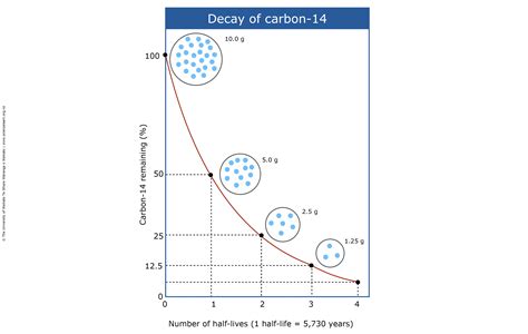 Radiocarbon calibration curves — Science Learning Hub
