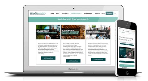 Meta Programs NLP 的图像结果