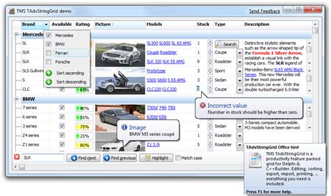 Image result for Delphi Grid Panel