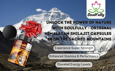 SOULFULLY - Shilajit Capsules - 60 Capsules of 500mg each | Shilajit ...