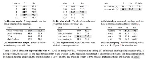 Mae Deep Learning 的图像结果