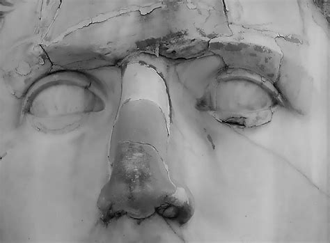 Roman Nose – the Look and Feel of This Nose Shape | Qunomedical