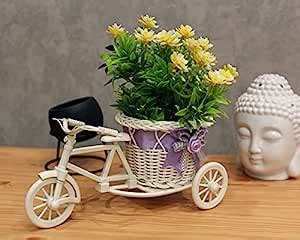 Buy PolliNation Cycle Shaped Flower Vase for Gifting, Home Decoration ...